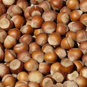 Ana Sayfa yeni bit eşlem resmi